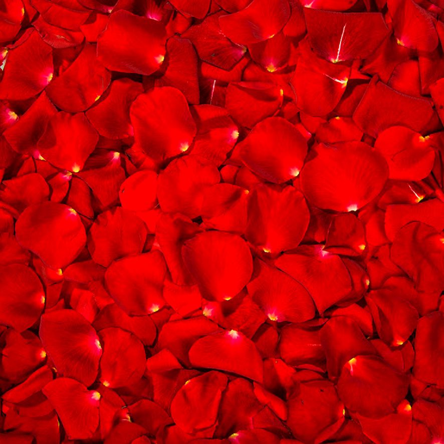 Романтическое украшение катера